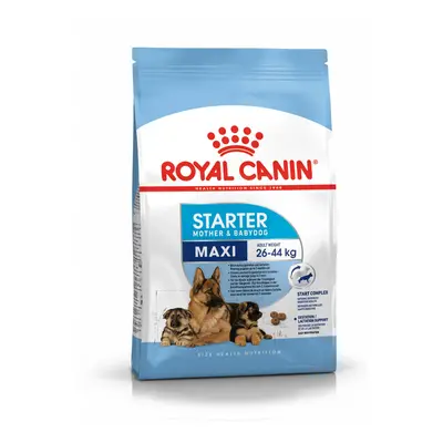 Royal Canin Maxi Starter - granule pro štěňata a těhotné psy velkých plemen 4 kg